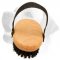 Labrador Bristle Brush for Everyday Grooming