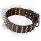 2 Inch Spiked Leather Labrador Collar