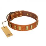 "Olive Slice" FDT Artisan Tan Leather Labrador Collar with Engraved and Smooth Plates
