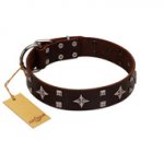 "Trendy Candy" FDT Artisan Brown Leather Labrador Collar Adorned with Stars and Tiny Squares