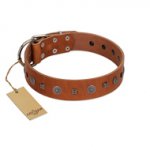 "Sweet Caramel" Designer FDT Artisan Tan Leather Labrador Collar