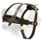 Labrador Professional Pulling Leather Harness