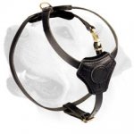 Sport Plus Puppy Leather Harness For Labrador