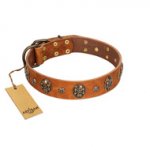 "Rockstar" FDT Artisan Tan Leather Labrador Collar with Engraved Studs and Medallions