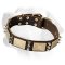 Armored Dog Leather Collar With Stylish Flamboyant Decoration