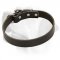 Classical Leather Dog Collar For Labrador