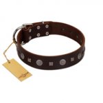 "Pure Sensation" Exclusive FDT Artisan Brown Leather Labrador Collar with Fancy Brooches and Studs