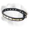Slim Leather Collar Decorated With Smooth Brass Plates