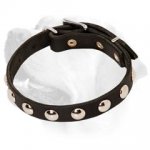 Pretty Leather Labrador Collar with Studs