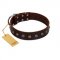 "Graceful Classic" Mod FDT Artisan Brown Leather Labrador Collar