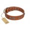 "Brave Spirit" Handmade FDT Artisan Designer Tan Leather Labrador Collar with Shields