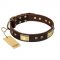 "Rich Fashion" FDT Artisan Decorated Leather Labrador Collar with Plates and Studs