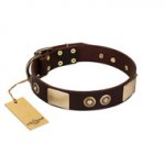 "Sense of Freedom" FDT Artisan Brown Leather Labrador Collar with Old Bronze-Plated Studs and Plates