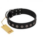 "Silent Star" Handmade FDT Artisan Designer Black Leather Labrador Collar with Engraved Plates