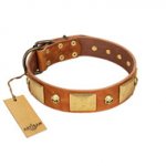 "Mutt The Daredevil" FDT Artisan Tan Leather Labrador Collar with Old Bronze-like Skulls and Plates