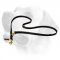Patrolling Nylon Labrador Leash With Floating Rings