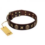 "Captain Hook" FDT Artisan Brown Leather Labrador Collar with Stars and Skulls
