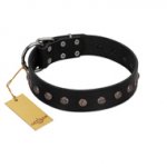 "Flower Rhapsody" FDT Artisan Premium Quaulity Black Leather Labrador Collar