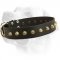 Everyday Wide Leather Collar With Studded Decoration For Labrador