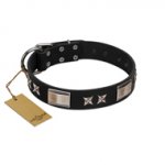 "Pitch Dark" FDT Artisan Black Leather Labrador Collar with Stars and Plates