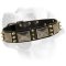 "All Included" Decorative Leather Collar For Labrador. Fashionable design!