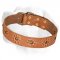'Spring mood' Leather Walking Dog Collar