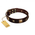"Choco Dreams" FDT Artisan Brown Leather Labrador Collar with Squares and Stars