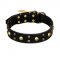 "Heavy Metal" Leather Labrador Collar with Skulls and Studs 1 1/2 inch (40 mm)