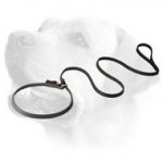 Obedience Training Leather Labrador Leash And Choke Collar