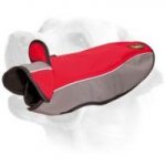 Labrador Soft Shell Warm Coat For Wearing In Winter