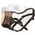 Walking Leather Labrador Muzzle With Studs