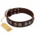 "Treasure Hunter" FDT Artisan Brown Leather Labrador Collar with Old-Bronze-like and Silvery Medallions