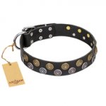 "Romantic Breeze" FDT Artisan Black Leather Labrador Collar with Sparkling Circles