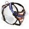 Glory of the USA Handpainted Leather Harness for Labrador