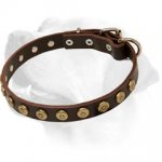 Slim Super Nice Leather Collar for Labrador