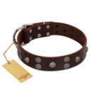 "Skull Valley" Handcrafted FDT Artisan Brown Leather Labrador Collar with Skulls
