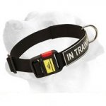 Extra Durable Nylon Collar With ID Patches With Easy Release Buckle