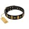"Venerable Pawty" FDT Artisan Black Leather Labrador Collar with Old Bronze-like Ovals and Studs