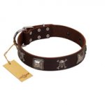 "Nut-Brown Finery" Embellished FDT Artisan Brown Leather Labrador Collar with Chrome Plated Crossbones and Plates