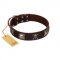 "Nut-Brown Finery" Embellished FDT Artisan Brown Leather Labrador Collar with Chrome Plated Crossbones and Plates