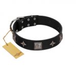 "Black Cavalier" Handmade FDT Artisan Black Leather Labrador Collar with Silver-Like Stars and Large Plates