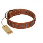 "Silver Century" Fashionable FDT Artisan Tan Leather Labrador Collar with Silver-Like Plates
