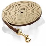 Labrador Extra Long Walking Leash. Labrador Patrolling and Tracking Leash