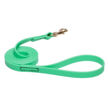 Green Waterproof Labrador Leash Made of Biothane