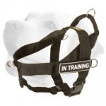 Super Durable Nylon Labrador Harness