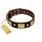 "Heavy Metal" FDT Artisan Brown Leather Labrador Collar with Old Bronze-like Skulls and Plates