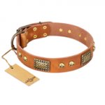 "Saucy Nature" FDT Artisan Tan Leather Labrador Collar with Old Bronze Look Plates and Skulls