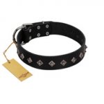"Immense Power" Handcrafted FDT Artisan Black Leather Labrador Collar with Small Dotted Pyramids