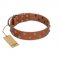 "Waltz of the Flowers" Handmade FDT Artisan Tan Leather Labrador Collar with Chrome-plated Engraved Studs