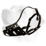 Labrador Everyday Muzzle With Nickel Plated Buckles